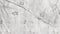 ZoHome Caiden Dekbedovertrek - Litsjumeaux - 240x200/220 cm - Light Grey