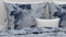 Zohome Dekbedovertrek Lauretta - Bedlinnen met Bladeren print - 200x220 - Blauw - Dekbedhoes van 100% Katoen