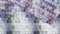 Zohome Dekbedovertrek Manou - Bedlinnen met Abstract print - 260x220 - Paars - Dekbedhoes van 100% Katoen