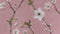 Zohome Dekbedovertrek Rossa - Bedlinnen met Bloemen print - 260x220 - Roze - Dekbedhoes van 100% Katoen-Flanel