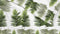 ZoHome Donny Dekbedovertrek - Litsjumeaux - 240x200/220 cm - Green