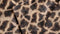 Zohome Plaid Giraffe - Warme deken voor op de bank - Zacht - 140x200 - Bruin