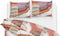 Zohome Sam Dekbedovertrek - Lits-jumeaux - Katoen - 240x200-220cm - Multi