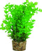 Zolux Kunstplanten Op Grind - Aquarium - Kunstplant - Groen per stuk Medium
