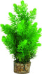 Zolux Kunstplanten Op Grind - Aquarium - Kunstplant - Groen per stuk Medium