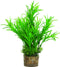 Zolux Kunstplanten Op Grind - Aquarium - Kunstplant - Groen per stuk Medium