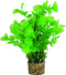 Zolux Kunstplanten Op Grind - Aquarium - Kunstplant - Groen per stuk Medium