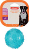 Zolux - Pop Tpr Bal Turquoise