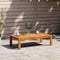 vidaXL - Tuintafel - 100x50x27 - cm - massief - acaciahout