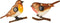 Zonlicht Lumineo 894881 Fågel