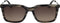 Zonnebril Heren Calvin Klein Calvin Klein S Bruin Transparant Ø 55 mm