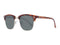 Zonnebril Uniseks Replay RY503 53CS02