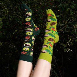 Zooksy mixTURY - Unisex Sokken - Forest - 2-pack - Giftbox - Maat: 36-40