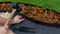 Gazonrand, wortelblokkeringssysteem, flexibel (zwart lang: 10 m / hoog: 6 cm) - bloembedomranding ro