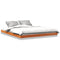 vidaXL - Bedframe - massief - grenenhout - wasbruin - 160x200 - cm