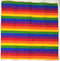 LGBT+ Pride Scarf