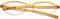 Ladies'Spectacle frame Rodenstock R5193-C Orange (ø 50 mm)