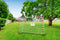 Dunlop Voetbaldoel - Voetbal Goal 300 x 200 x 110 cm - Metaal - Wit/Rood - Snelle Montage - Inclusief 7 Grondhaken