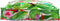 vidaXL - Palletkussen - voor - Zit - Tropical - Jungle - 70x70x12 - cm - Oxford - Stof