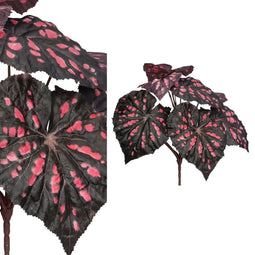 PTMD Leaves Plant Begonia Kunststruik - 20 x 27 x 25 cm - Paars