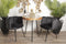 Pole to Pole - High Five Chair - Zwart - Aanbieding - Set van 2