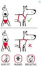 Red Dingo Tuig Padded Harness body omvang 31-43cm DH-PH-RE-XS