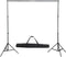 vidaXL - Studioset - met - groene - achtergrond - en - lampen - 600x300 - cm