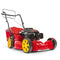 WOLF-Garten A 5300 A - Duwgrasmaaier - 2500 W - Maaibreedte 53 cm - Geschikt voor 1000 m² (1 stuk)