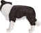 Mojo Farmland Border Collie - 387203