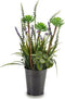 Decoratieve plant Lavendel Metaal Plastic (13 x 40 x 13 cm)