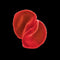 Peter Gabriel - Scratch My Back - CD - Gesealed met barst hoesje