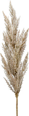 Emerald Pampasgras pluim losse steel/tak - naturel - 92 cm - Decoratie kunst bloemen/graspluimen