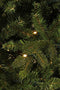 Black Box Treeskerstboom Led Macallan H155D104 Groen 168L Tips 1040