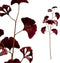 PTMD Leaves Plant Gingko Kunsttak - 46 x 20 x 90 cm - Wijnrood