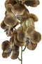 PTMD Orchidee Kunstbloem - 78 x 17 x 79 cm - Kunststof - Bruin