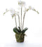 Emerald Kunstplant orchidee met mos wit 90 cm 20.355