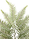 PTMD Leaves Plant Boston Varen Kunsttak - 39 x 49 x 64 cm - Groen