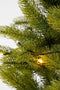 Black Box Trees Norton - Kunstkerstboom met LED Verlichting - H90 x Ø50 cm - Groen