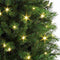 Black Box Trees - Chandler kerstboom frosted, groen - h260xd147cm