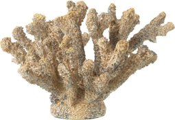 J-Line decoratie Koraal - polyresin - bruin/ goud - medium