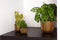 Capi Europe - Bloempot bol Groove Black & Gold - 24x21 - Zwart - Opening Ø20.9 - Bloempot voor binnen - 5 jaar garantie - BGVBL134