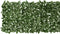 vidaXL - Balkonscherm - met - donkergroene - bladeren - 200x75 - cm
