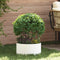 vidaXL - Tuinbak - Wit - 40x40x20 - cm - Staal