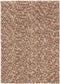 Brink en Campman - Dots 170501 Vloerkleed - 170x240 - Rechthoek - Laagpolig,Structuur Tapijt - Landelijk - Meerkleurig