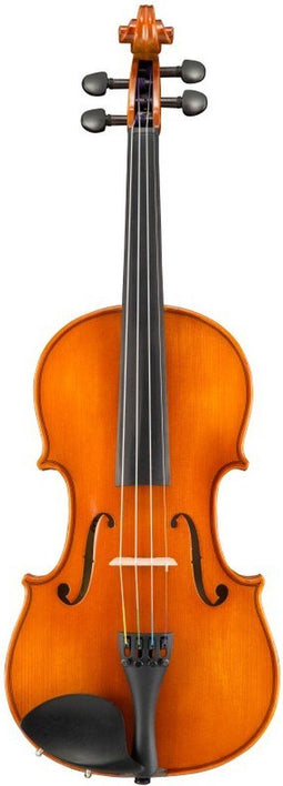 Samuel Eastman Viool VL150 4/4
