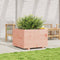 vidaXL - Plantenbak - 70x70x49,5 - cm - massief - douglashout
