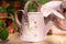 Little Dutch Fairy Garden - Tuingereedschapset - 10-delig - Roze