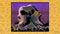 Disney Classic Games Aladdin en The Lion King - Xbox One - 1080P graphics en meerdere gameversies