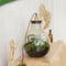 Growing Concepts DIY Duurzaam Ecosysteem Giants Ecolight XL - 20 Liter - Planten - Botanische Mix - H42xØ40cm