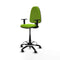 Piqueras y Crespo B1D01RF - Bureaustoel - Hoogteverstelbaar met armleuning - Pistache